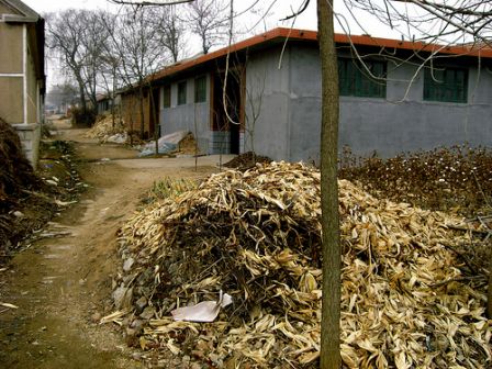 le tas de paille, déc. 2008 le tas de paille