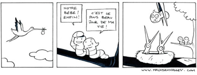 adoption cigognes